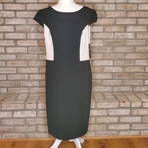 Evan Picone Black Label Sheath Dress, NWT 